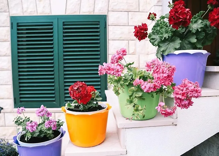 Appartement In With Sea View, Balcony, Air Conditioning, Wifi 4167-5